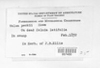 Image Associated With the Occurence